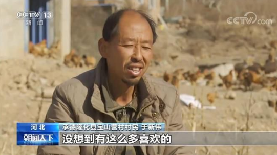 【直播帶貨】農民大叔做直播兩年還債幾十萬