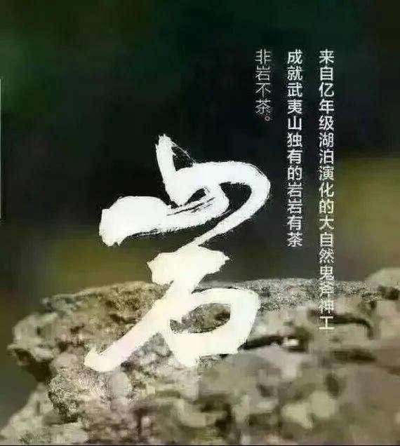 愛在情深mcn主播公會--直播行業(yè)SaaS，主要為直播行業(yè)提供智能經(jīng)紀(jì)人管理系統(tǒng)
