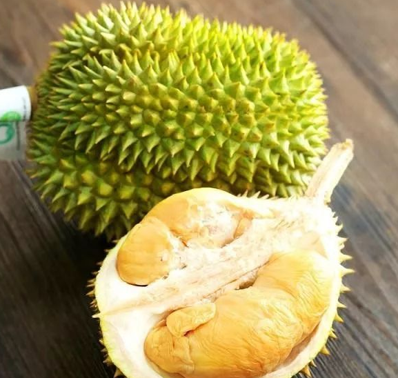「貓山王」榴蓮--產(chǎn)量很小，在馬來(lái)西亞是屬于超珍貴的品種，被限制出口