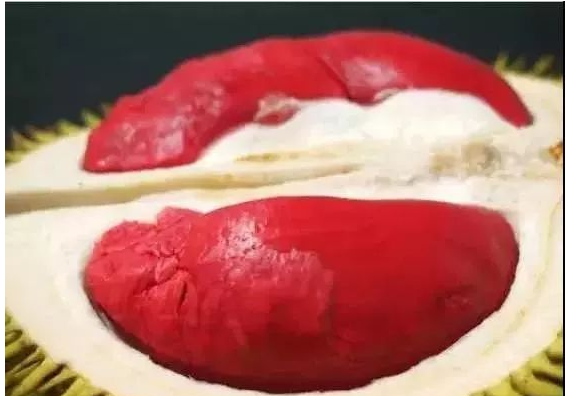 「紅肉」榴蓮--榴蓮肉個頭小，是馬來西亞主流的榴蓮品種
