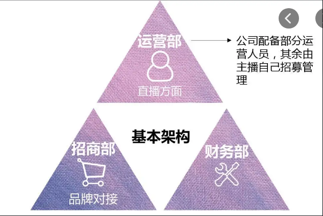 中國e直播純傭金帶貨