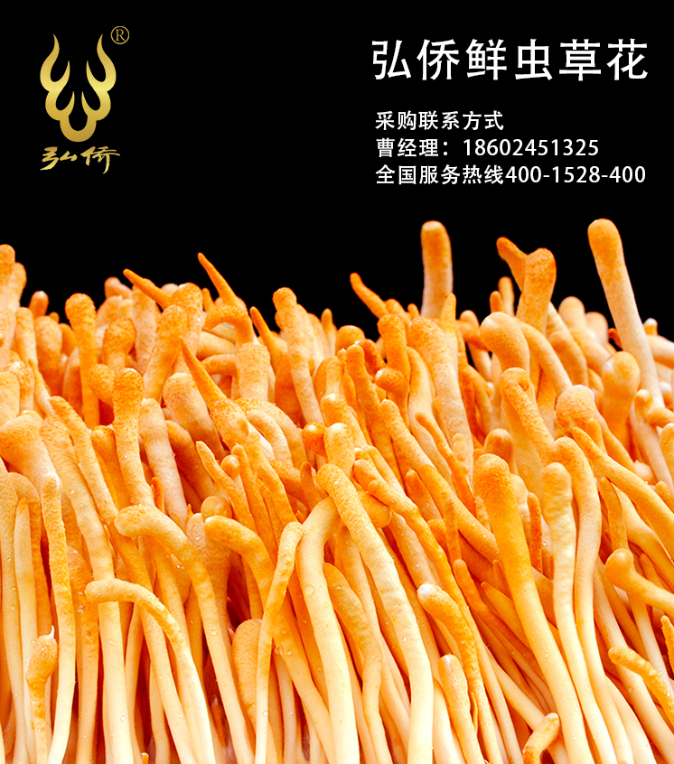 作為網(wǎng)紅大省，遼寧的電商產(chǎn)業(yè)發(fā)展如何？最新出爐的前三季度數(shù)據(jù)，給出了答案