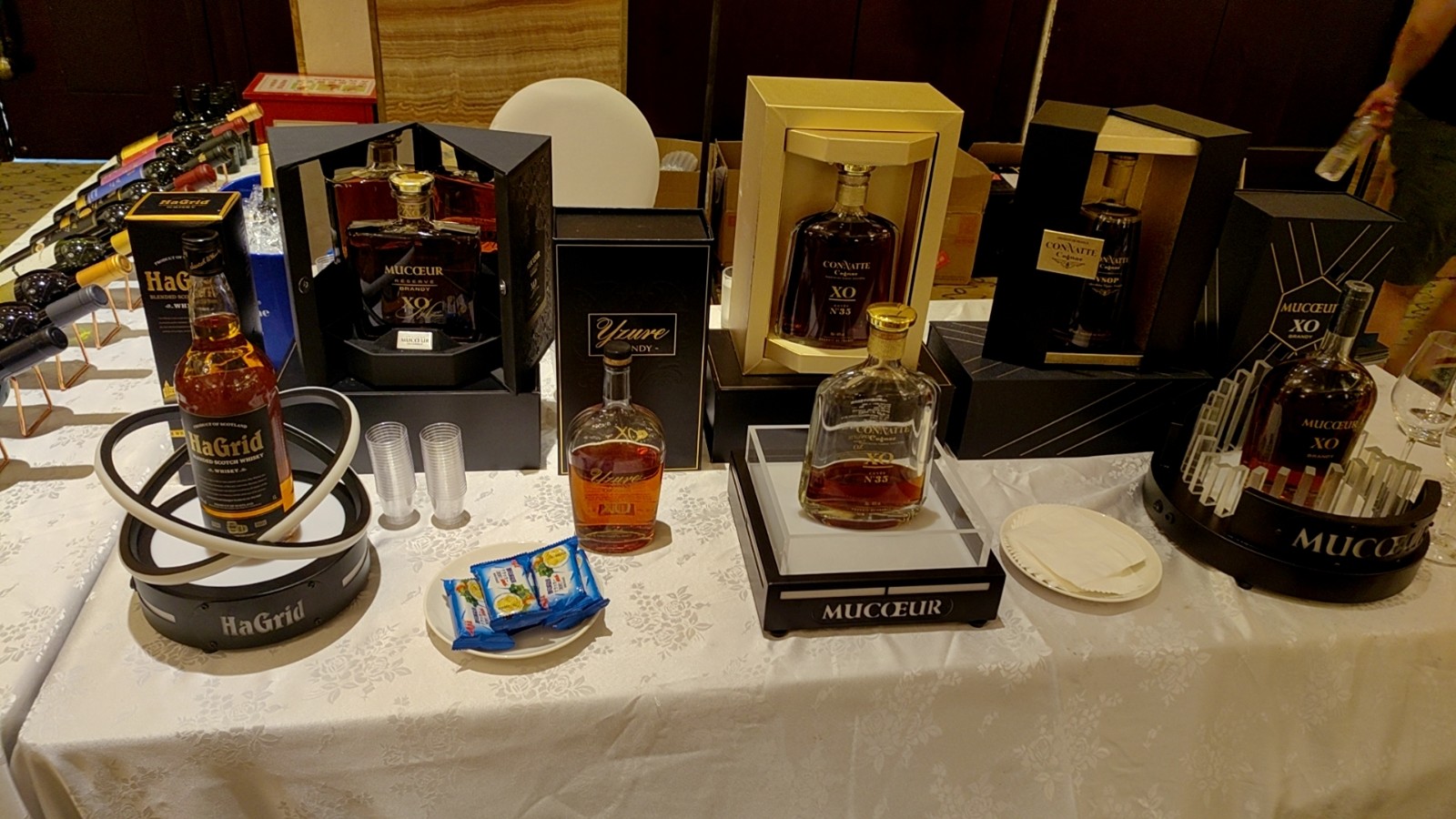“貓一杯”的視頻 --她走到哪兒火哪兒，抖音、B站、小紅書、視頻號......各大平臺通吃