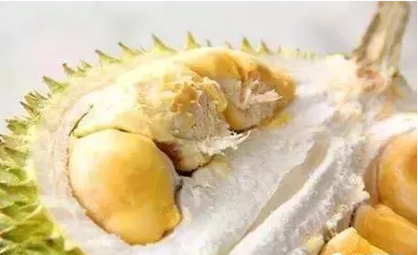 蘇丹王圖片_20220424163001.png